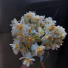 haneen_9_4