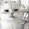 if_juwwih