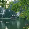ninhbinhlover