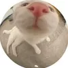 marcelina_s