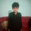 ziafatshah8