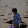 allan_reeves