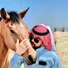ahmad_511_39