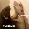 djiasha