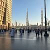 hnane_702
