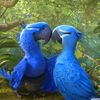 khokhar_2082