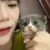 meothichanquyt_