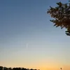 trangmeo_1611