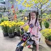 hanguyen2246