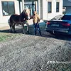 denispustanu8