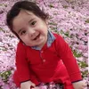 bexal_hamad