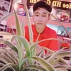 quoctuan_2702