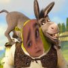 shreknumber2