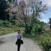 usershreyaraii