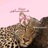 hager156017
