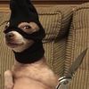 bootybonkers388