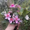 hoangz_777