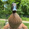 meetrufus