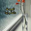 zozo_o16