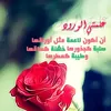 gherf0