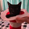 getfarrkt