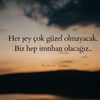 buz271991