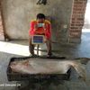 andresierajatega