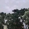 xyaaa_ml