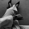 noola_a
