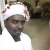 maher.shandi