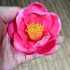 hoang.anh9992