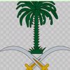 aliali7869088