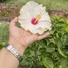 souraya1106
