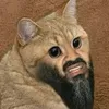 rahimdabozz
