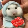 yuurdis_bst