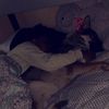 jai_rodgers56