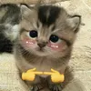 nqn.micky
