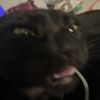 mataya_cancio