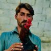 ahmadniazi481