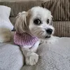 _maddie_bun_