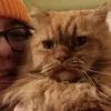 kittypoetrylover20