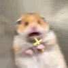 hlhng