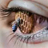 babov_beekeeping
