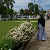tinamardiana389