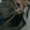 esma_101