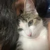 denizahraa