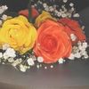 ....abeer12