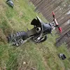 linus_1224