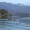 sil_jakunamatata