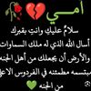 user4595034792494